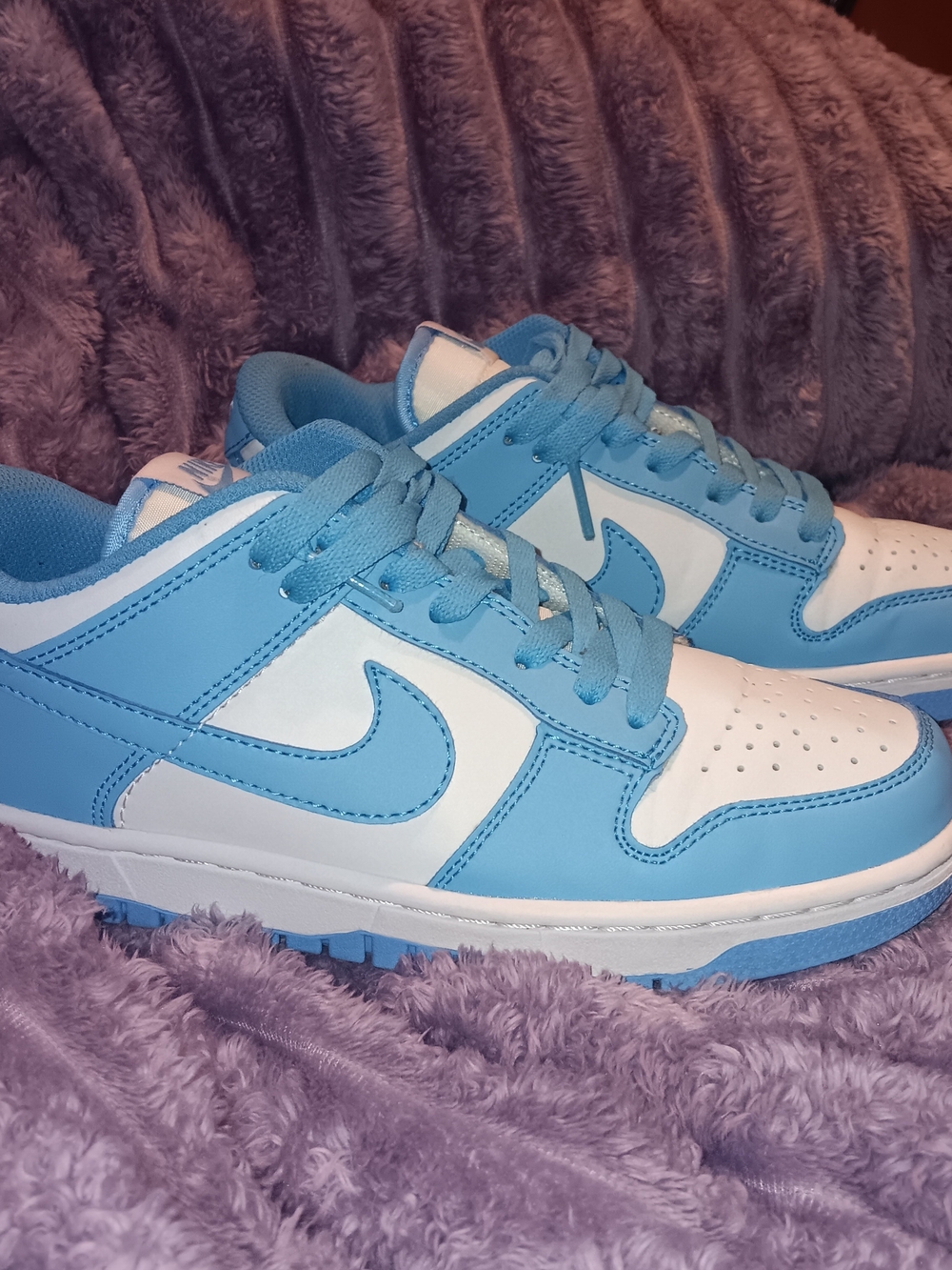 Nike Dunk Low"UNC"